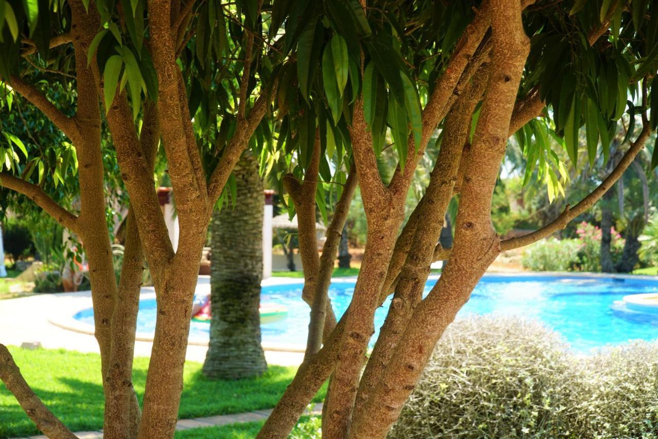 Agroturismo Finca Sa Tanca Cala D´Or Esterno foto