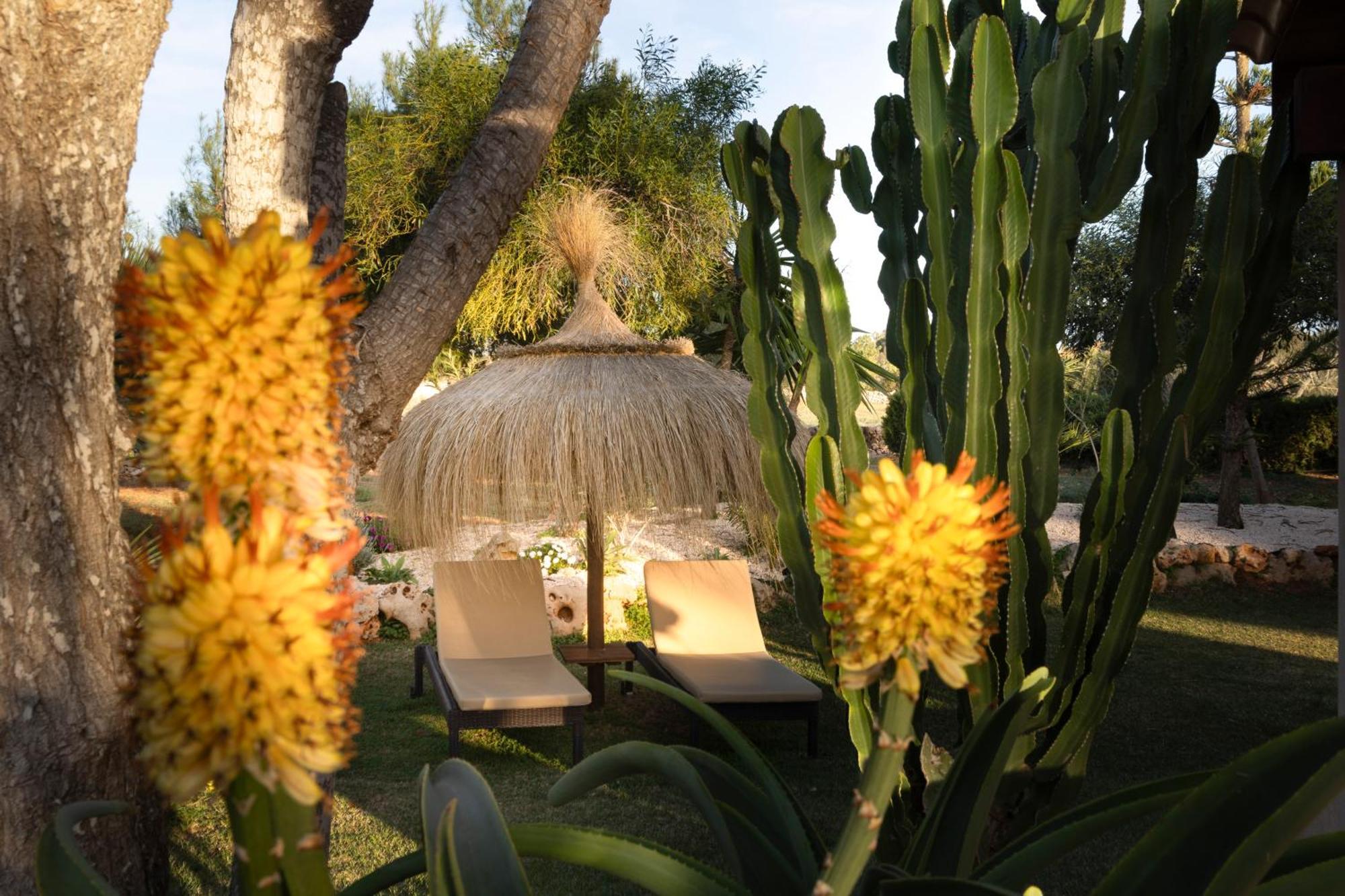 Agroturismo Finca Sa Tanca Cala D´Or Esterno foto