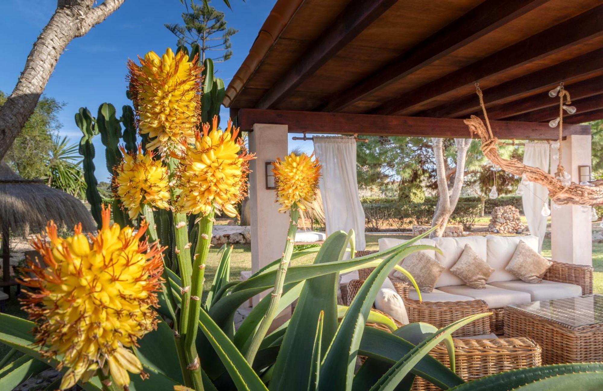 Agroturismo Finca Sa Tanca Cala D´Or Esterno foto